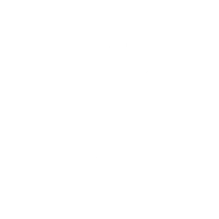 texas@2x-445