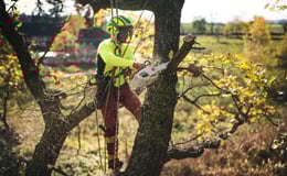 Image{width=null,height=null,url='https://blog.frankcrum.com/hubfs/FC_Resource_safetychainsaw.jpg',altText=''}